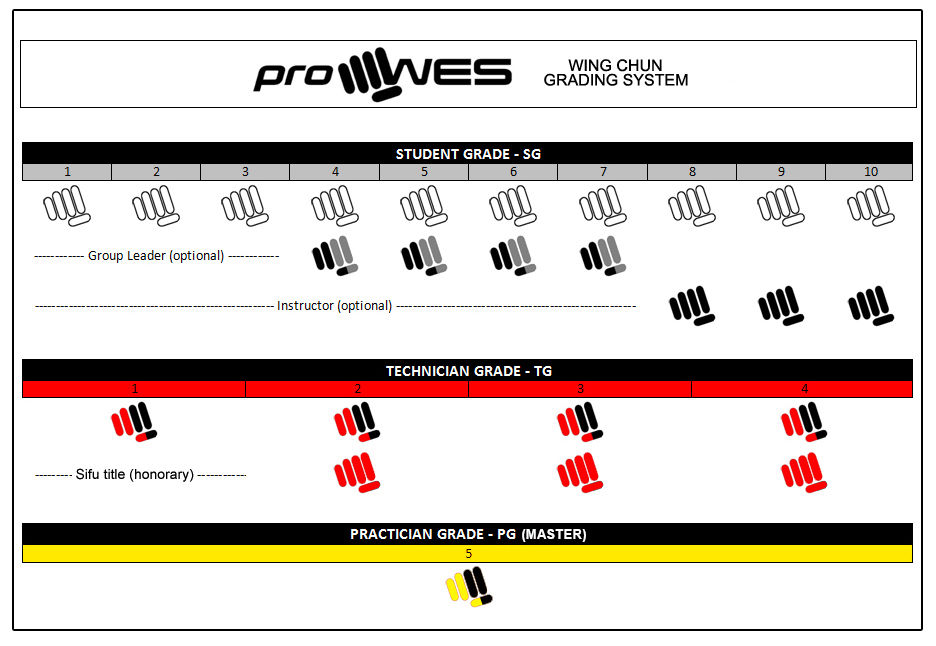 WingChun Grading System in proWES